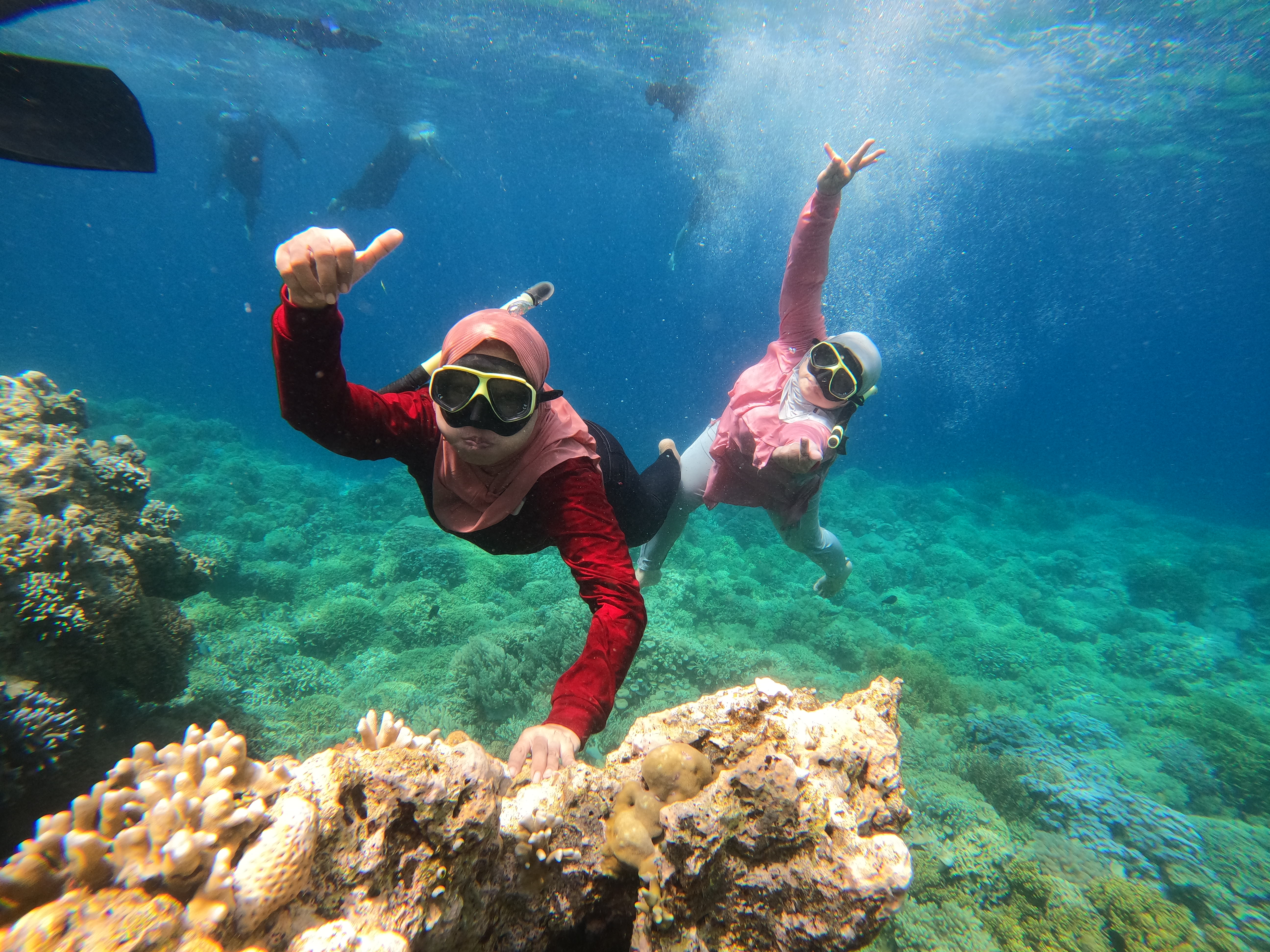 Tentang Banyuwangi Open Trip