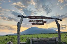 Daily Trip 1DAY Baluran National Park